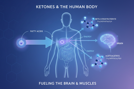 Rajouter le logo de KetoM+