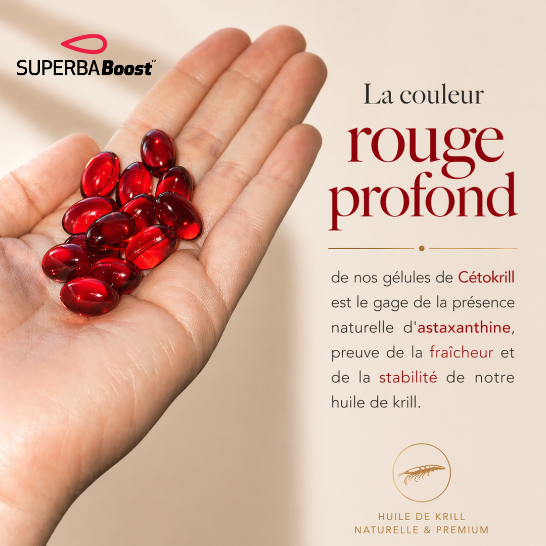 Cétokrill Czysty olej z kryla Superba Boost™ | Omega-3 i cholina | KetoM+