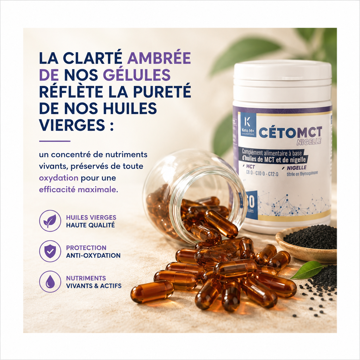 CétoMCT & Nigelle titrée en thymoquinone | Équilibre Métabolique & Immunité | KetoM+